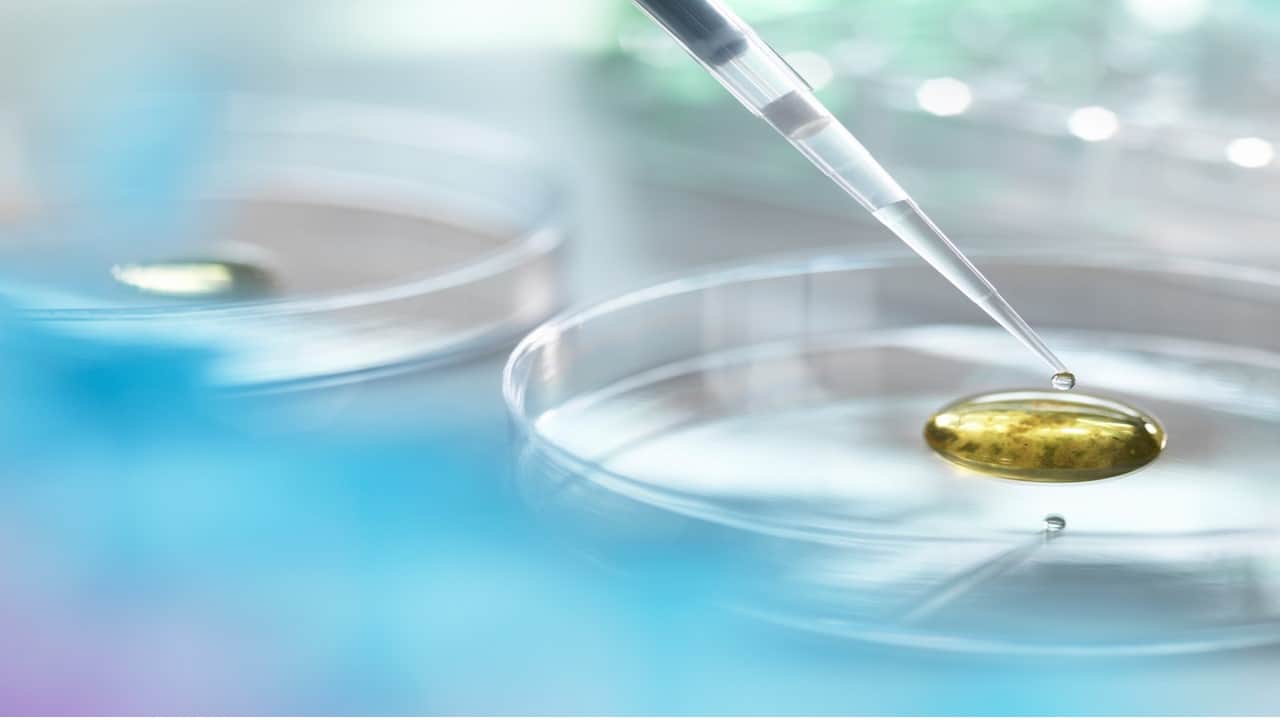 EZ Biology and Science Tuition